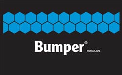 BUMPER 41.8 EC 