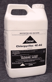 Chlorpyrifos 4E insecticide is shown here very effective in controlling bugs on the fruit and vegetables you love