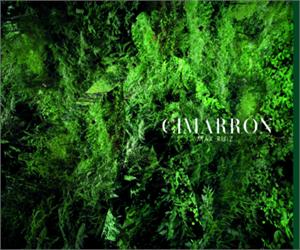 CIMARRON MAX 