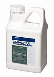 CLEAR CAST 