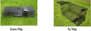 Easy Up Pro Trap from Humane Way is shown both collapsed and set up This trap is made the same as the easy up giant trap, only smaller