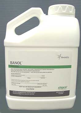 Banol, shown here in a gallon jug, is a highly conentrated fungicide from the pros at bayer. Banol will protect and cure fungus problems in turf and ornamentals!