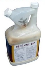 Bithor SC