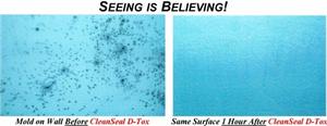 CleanSeal D-Tox Before & After CleanSeal D-Tox Before & After