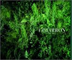 CIMARRON MAX 