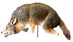 3D Coyote Decoy