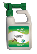 Garlic RTS