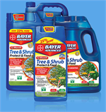 TREE & SHRUB