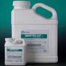 WHITE CAP
